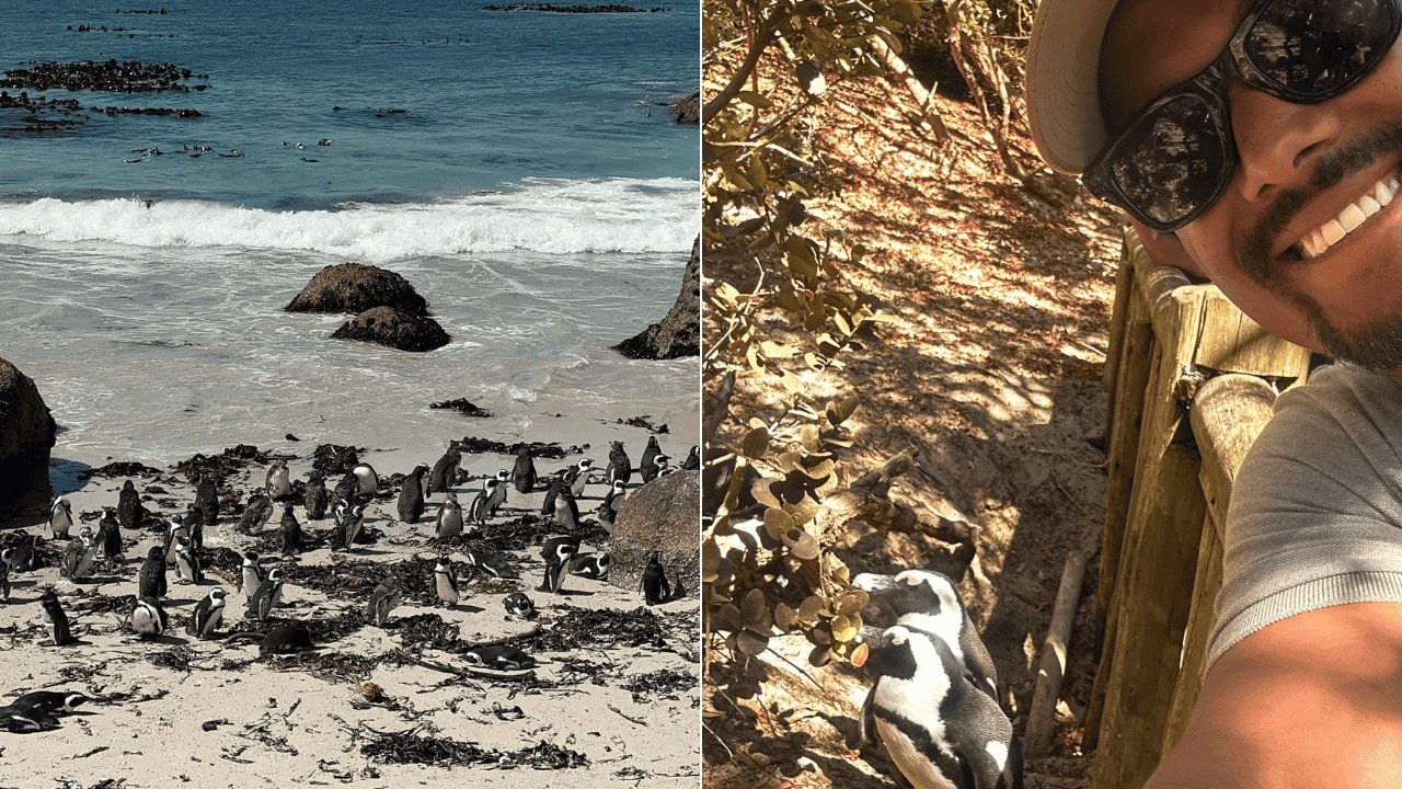 boulders beach