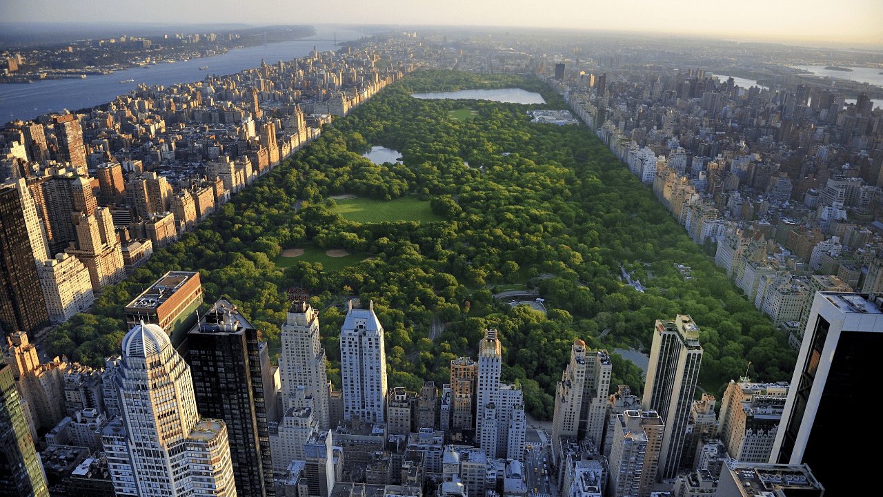 central park ny