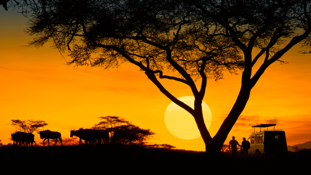 safari na áfrica do sul